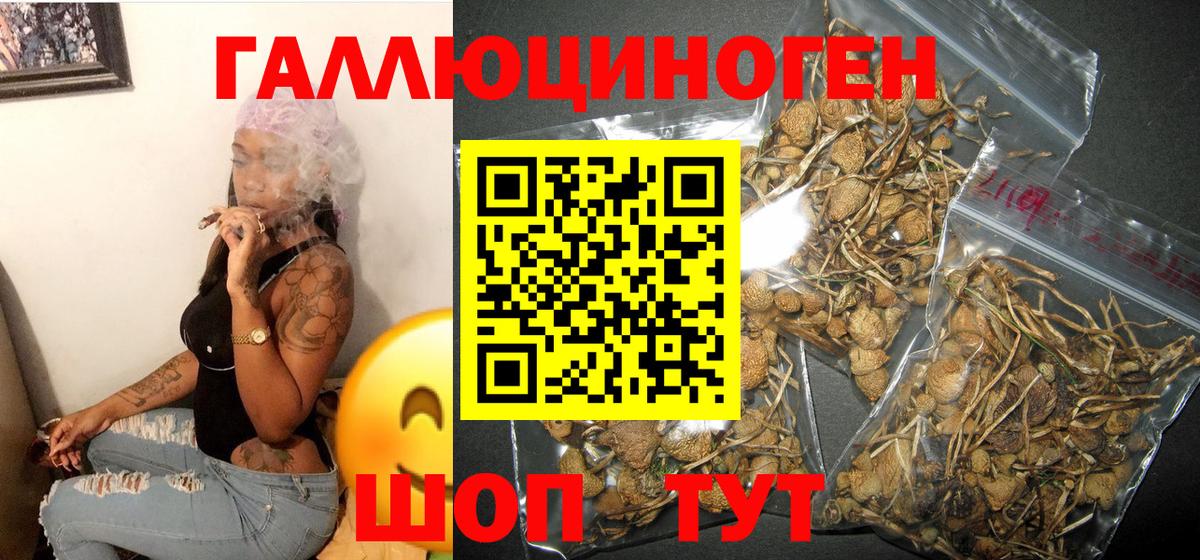 Псилоцибиновые грибы мухоморы Сочи