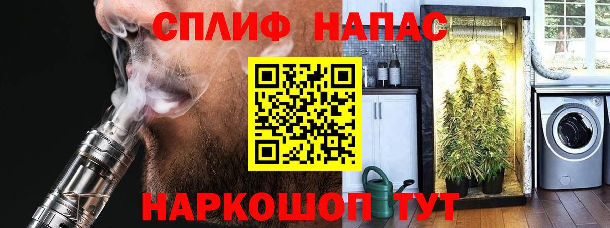 Бошки Шишки ГИДРОПОН  Канабис семена  Сочи  Вход с VPN  Бошки марихуана тримм 