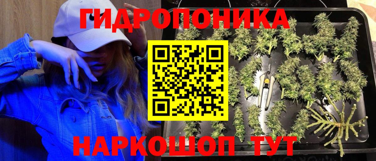 МАРИХУАНА OG Kush Сочи